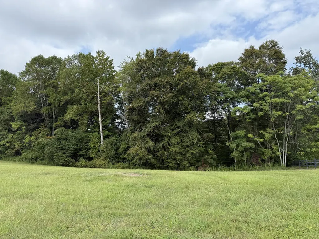 Lot 92 Stillwater Russell Springs KY 42642