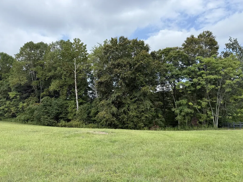 Lot 92 Stillwater Russell Springs KY 42642