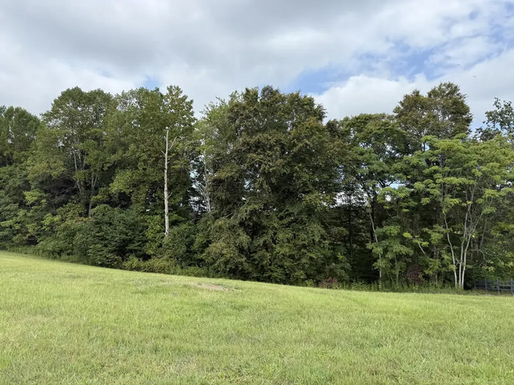 Lot 92 Stillwater Russell Springs KY 42642