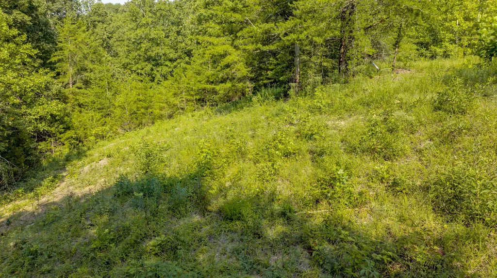 62 Brittany Drive Monticello KY 42633