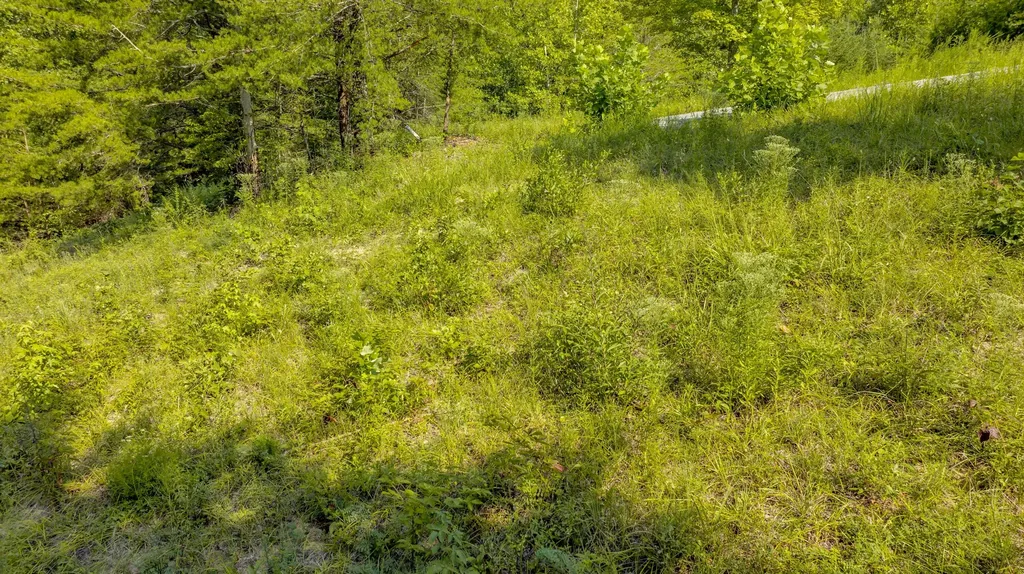 62 Brittany Drive Monticello KY 42633