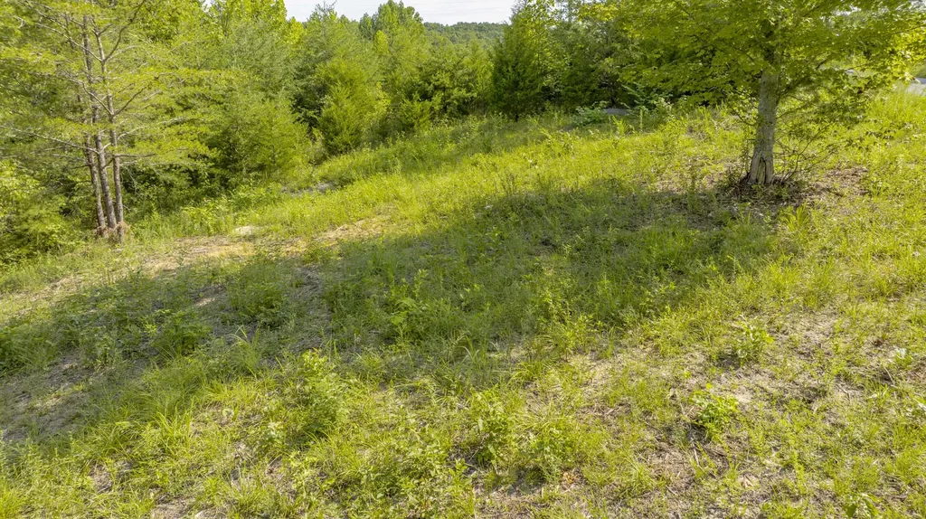 62 Brittany Drive Monticello KY 42633