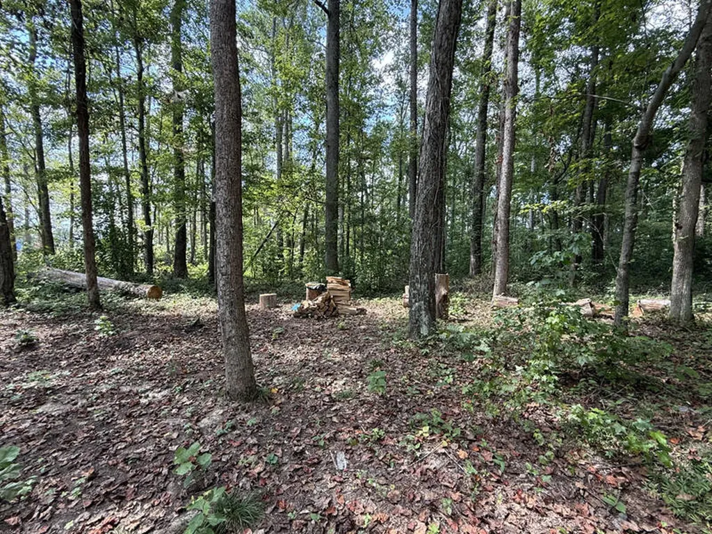 Lot 172 Stillwater Russell Springs KY 42642
