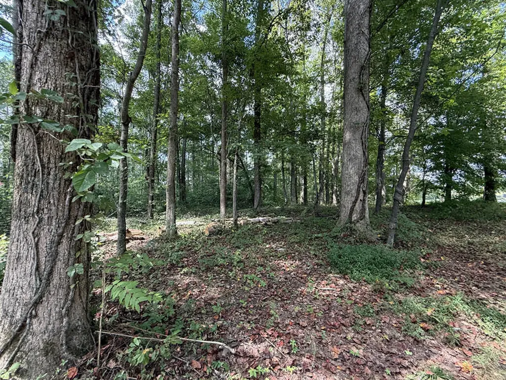 Lot 172 Stillwater Russell Springs KY 42642