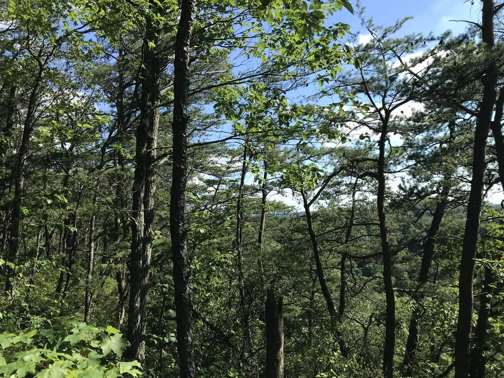 0 South Fork Stanton KY 40380