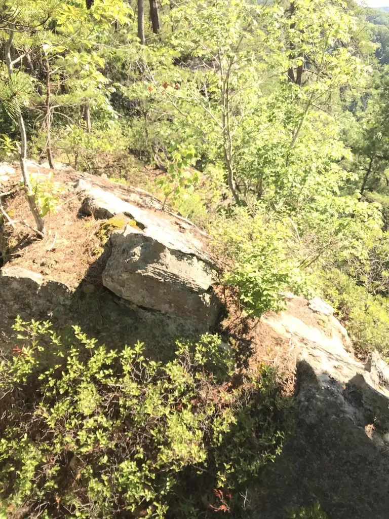 0 South Fork Stanton KY 40380