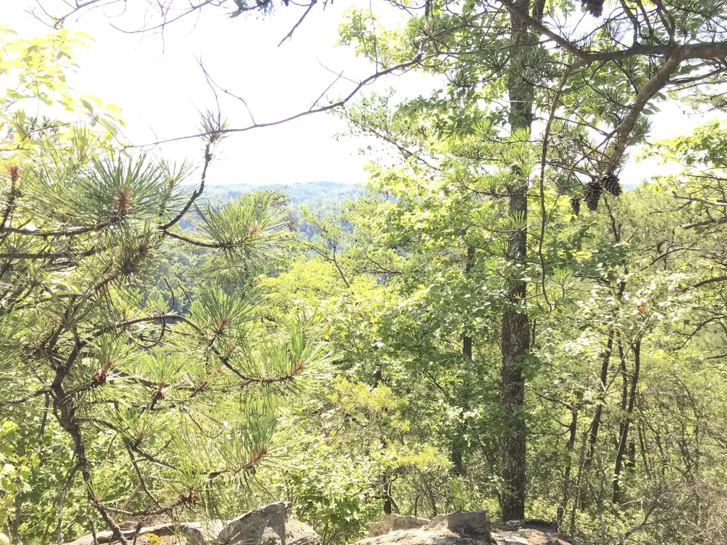 0 South Fork Stanton KY 40380