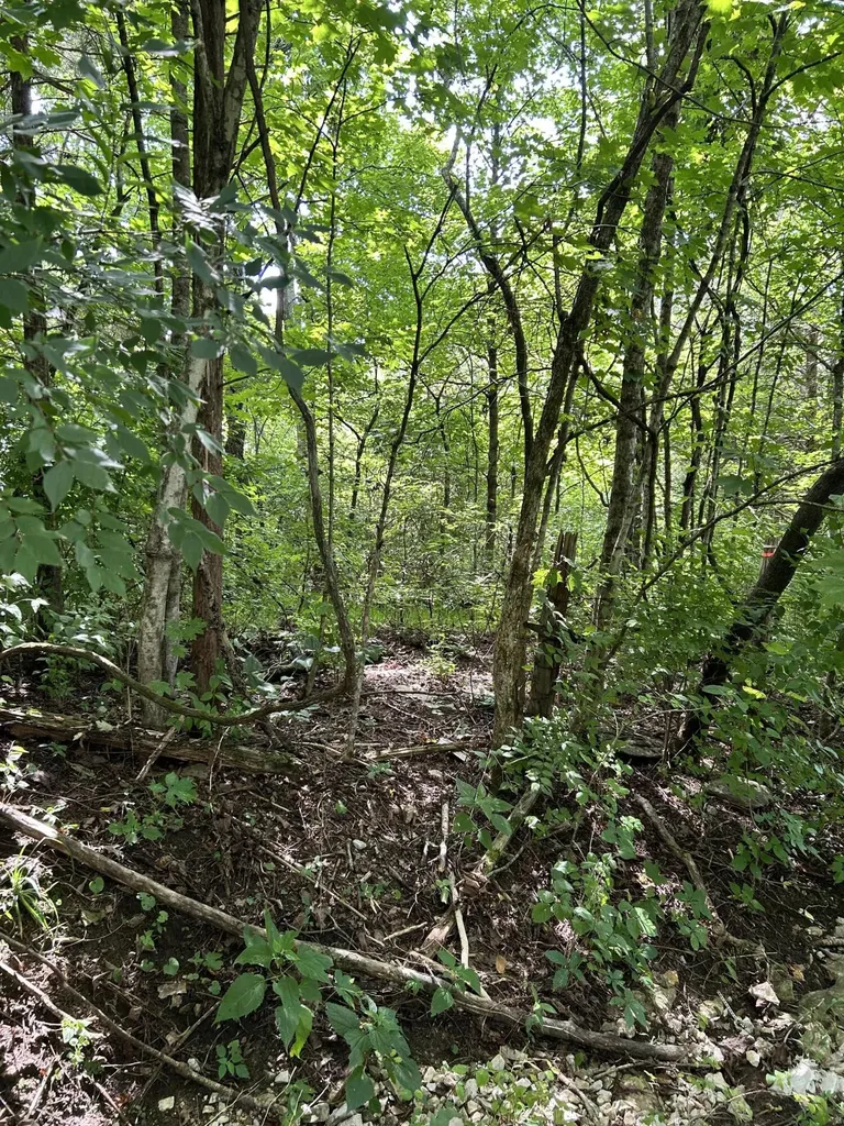058-00-00-022.00 Shadrick Ferry Road Frankfort KY 40601