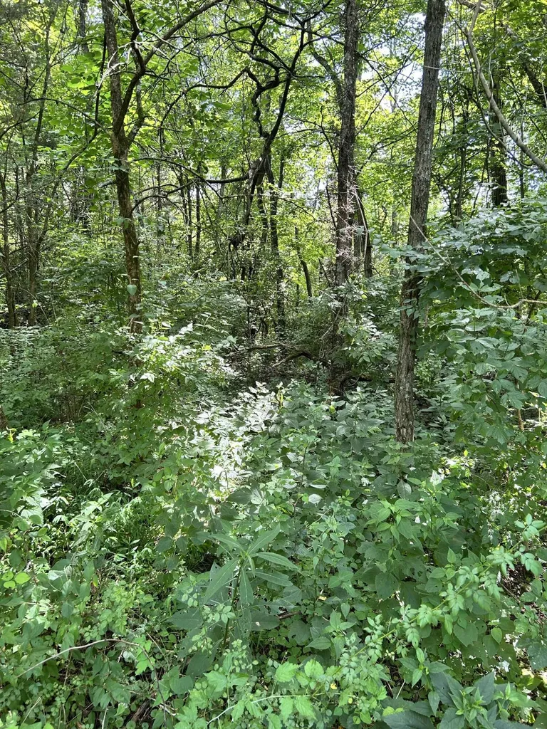 058-00-00-022.00 Shadrick Ferry Road Frankfort KY 40601