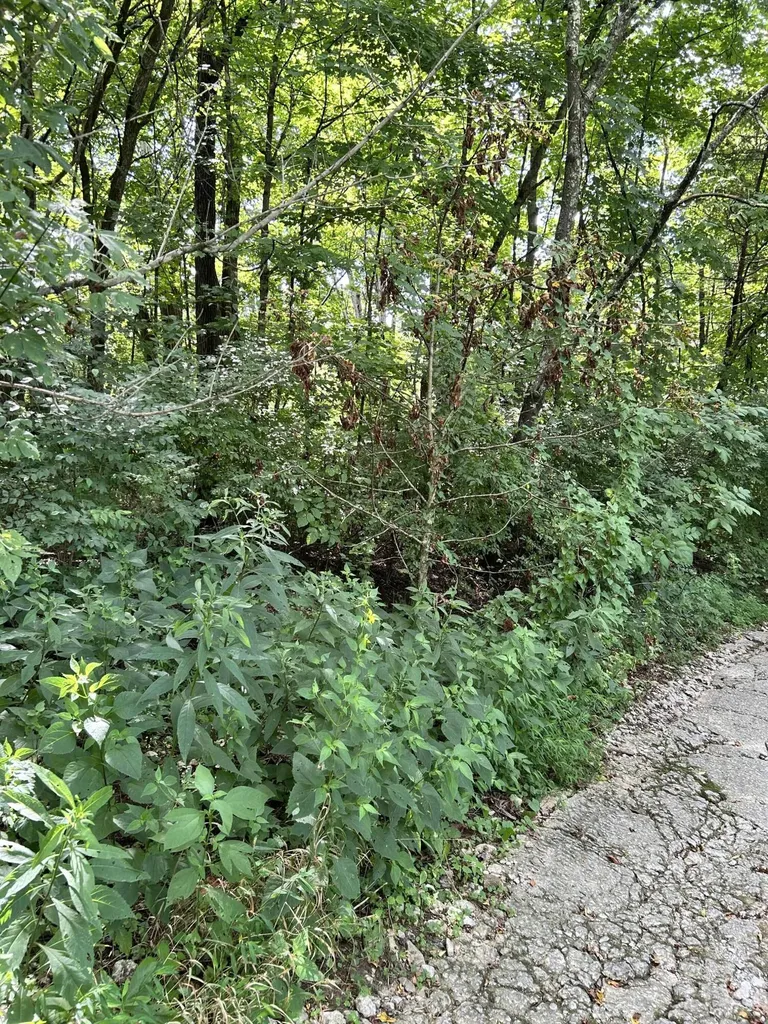 058-00-00-022.00 Shadrick Ferry Road Frankfort KY 40601