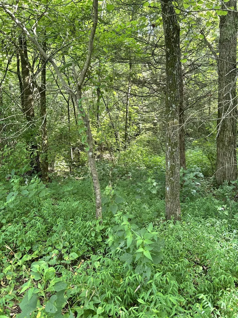 058-00-00-022.00 Shadrick Ferry Road Frankfort KY 40601