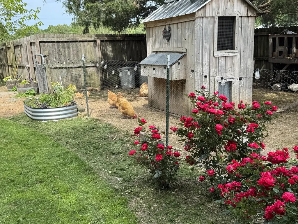 14033 Highway 1247 Eubank KY 42567