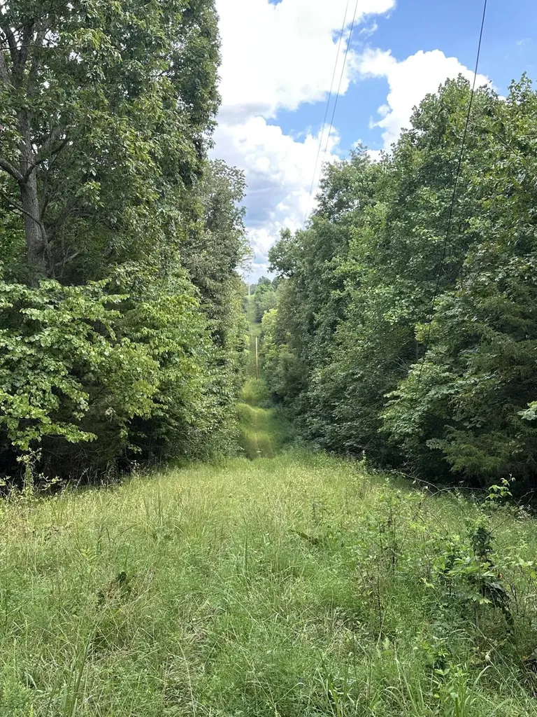 781 Apple Lane Cynthiana KY 41031