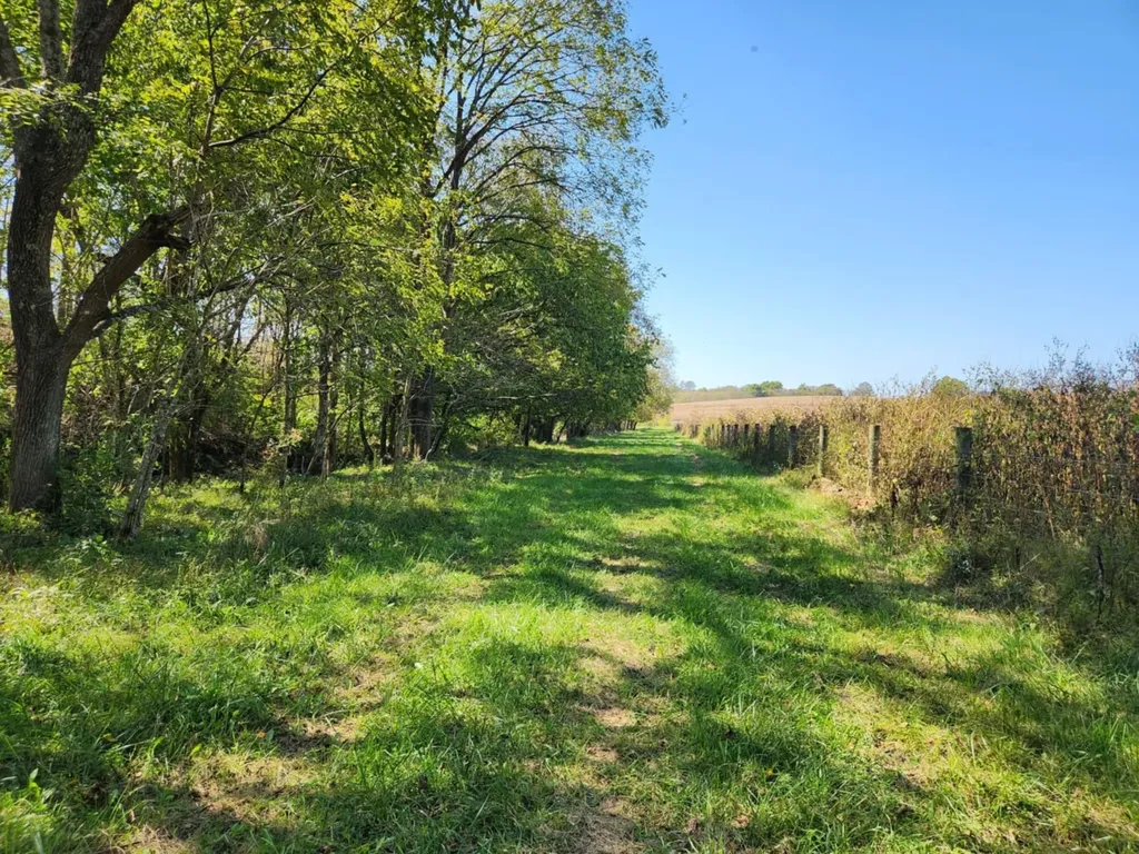410 Murphy Lane Flemingsburg KY 41041