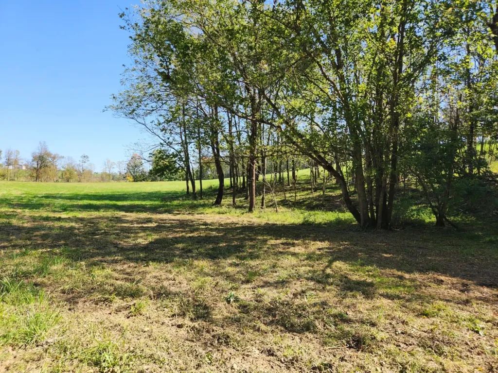 410 Murphy Lane Flemingsburg KY 41041