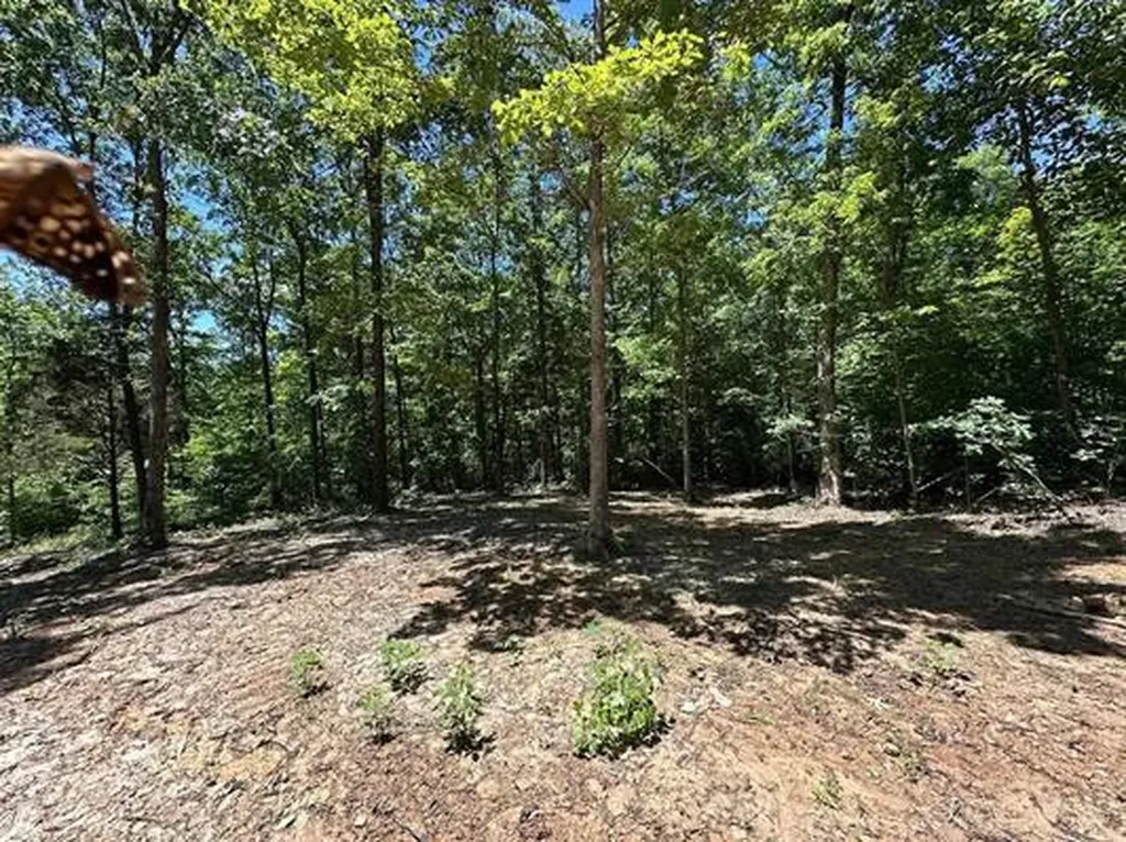 01 Riverside Benleo Road Bowling Green KY 42101