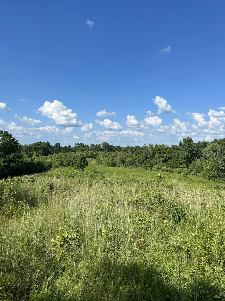 0 County Line Road Columbia KY 42728