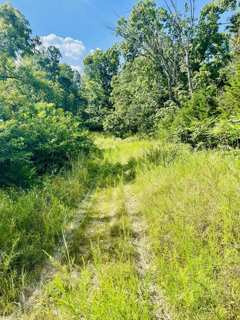 0 County Line Road Columbia KY 42728