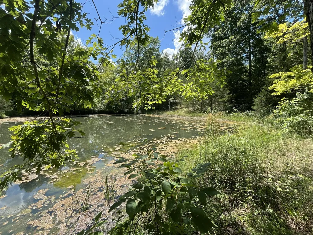 0 County Line Road Columbia KY 42728