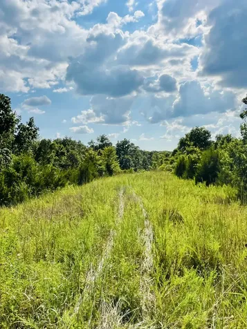 0 County Line Road Columbia KY 42728