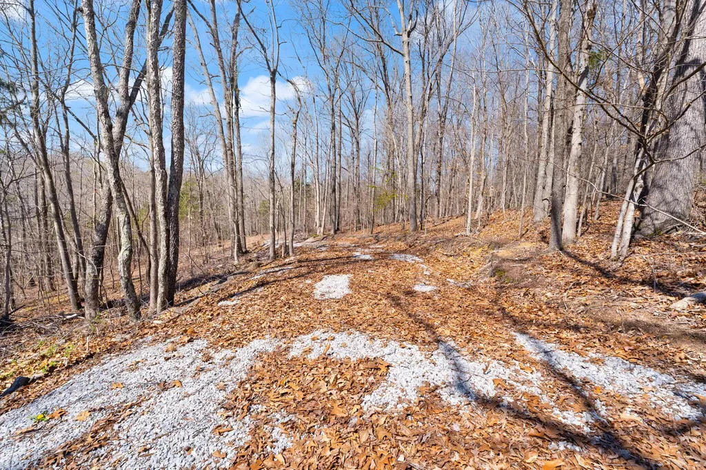 8 Beechwood Drive Nancy KY 42544
