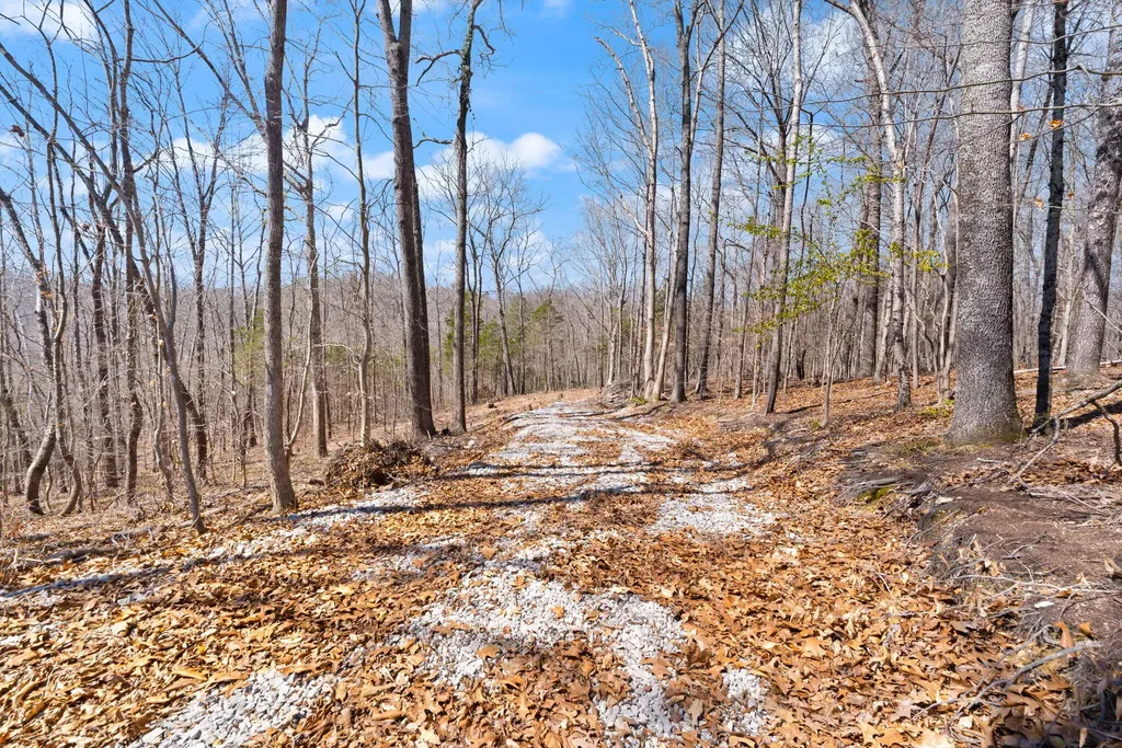 8 Beechwood Drive Nancy KY 42544