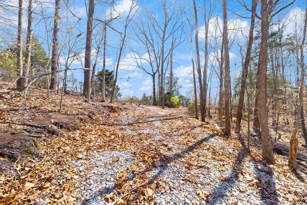 8 Beechwood Drive Nancy KY 42544