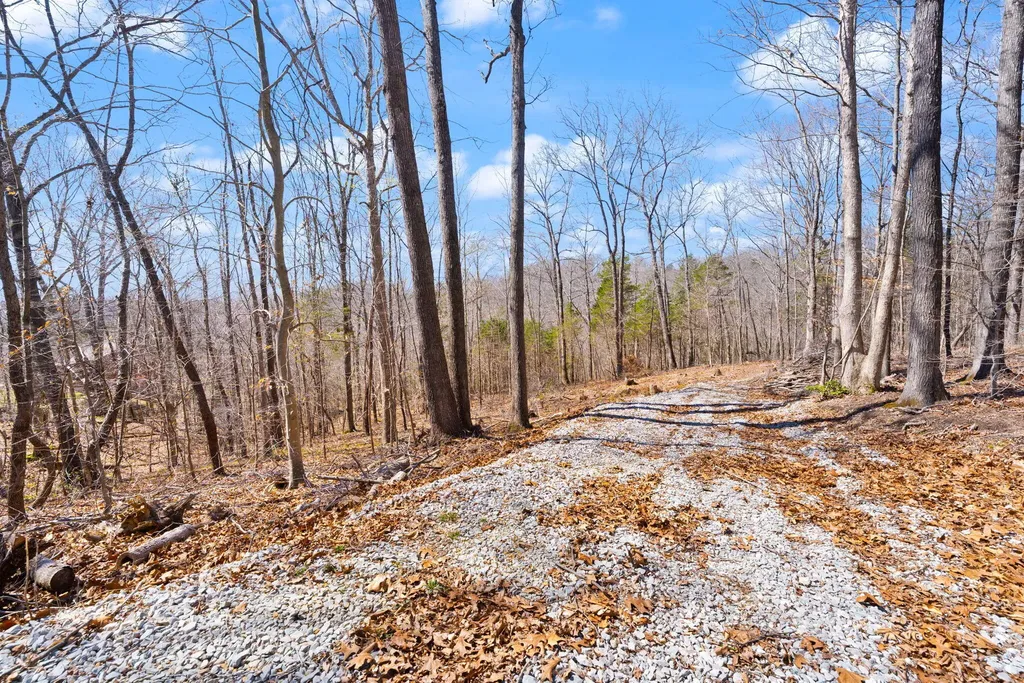 8 Beechwood Drive Nancy KY 42544