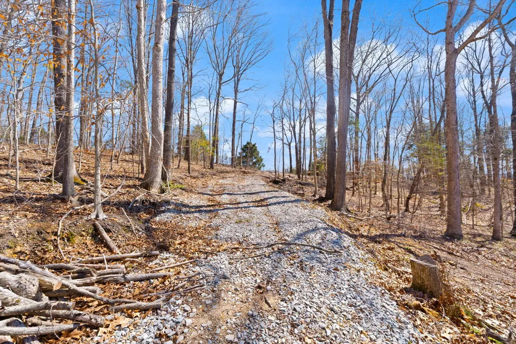 8 Beechwood Drive Nancy KY 42544