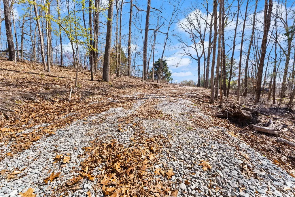 8 Beechwood Drive Nancy KY 42544