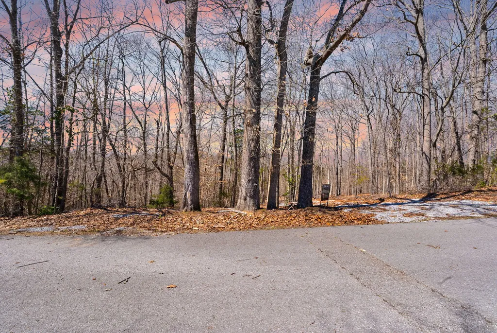 8 Beechwood Drive Nancy KY 42544