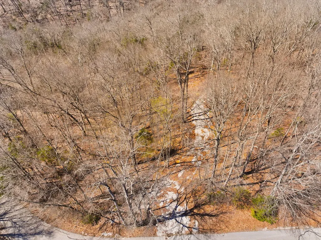 8 Beechwood Drive Nancy KY 42544