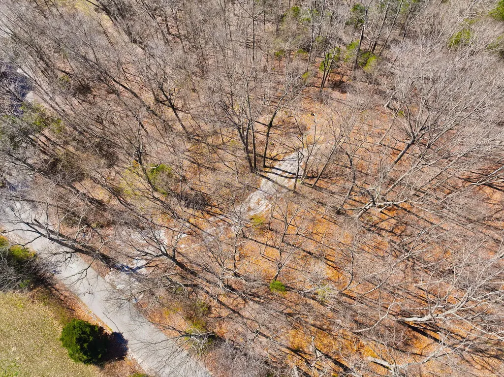 8 Beechwood Drive Nancy KY 42544