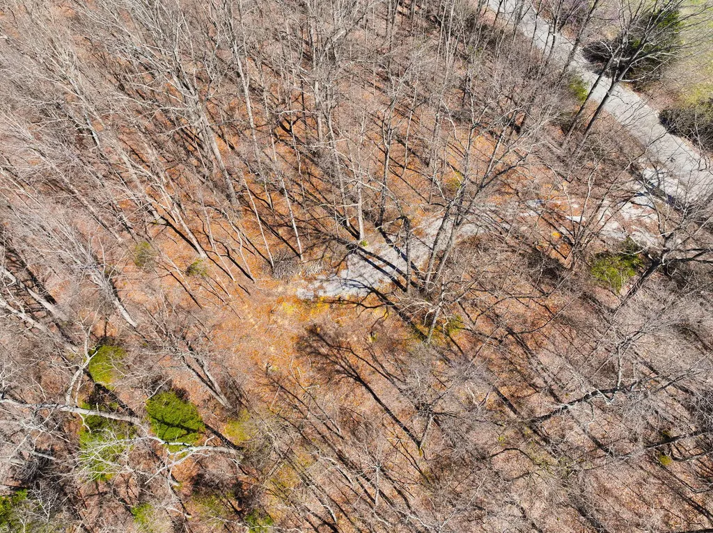 8 Beechwood Drive Nancy KY 42544