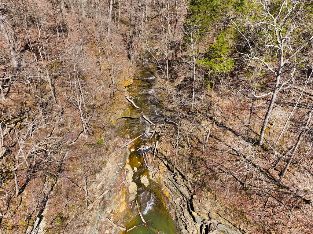 8 Beechwood Drive Nancy KY 42544