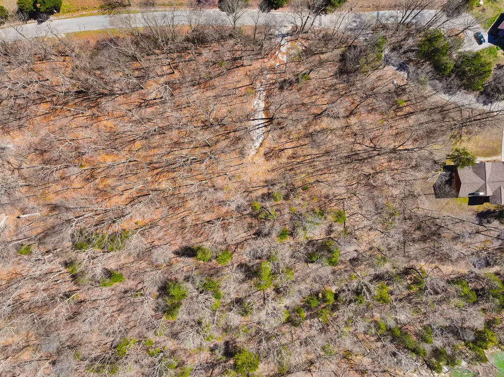8 Beechwood Drive Nancy KY 42544