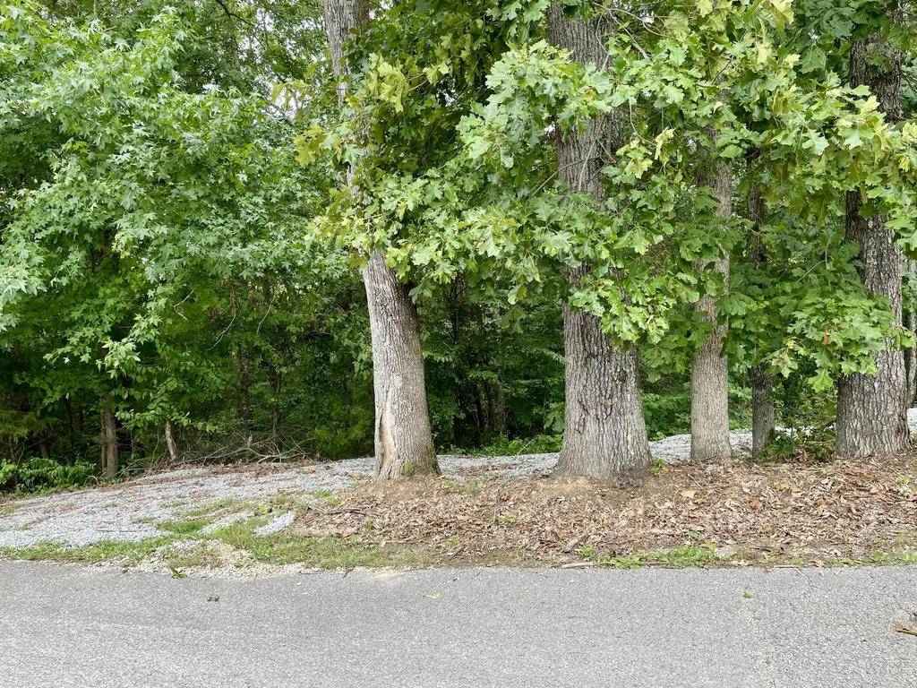 8 Beechwood Drive Nancy KY 42544