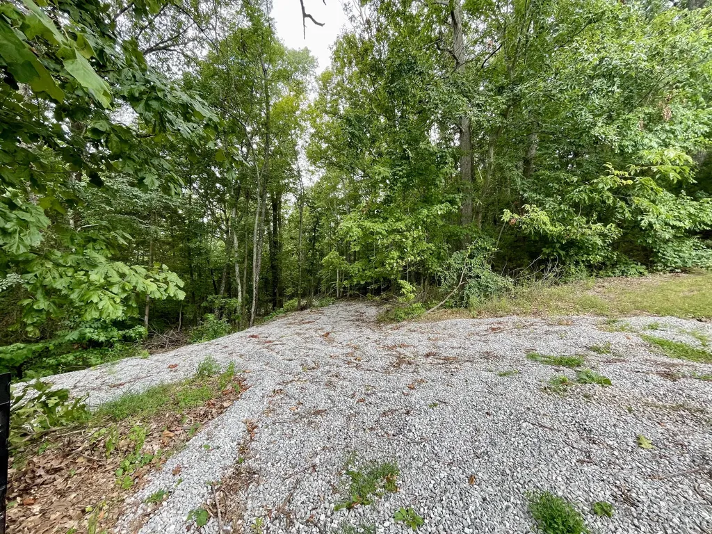 8 Beechwood Drive Nancy KY 42544