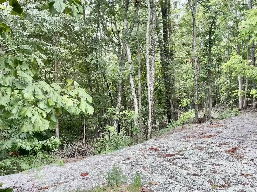8 Beechwood Drive Nancy KY 42544