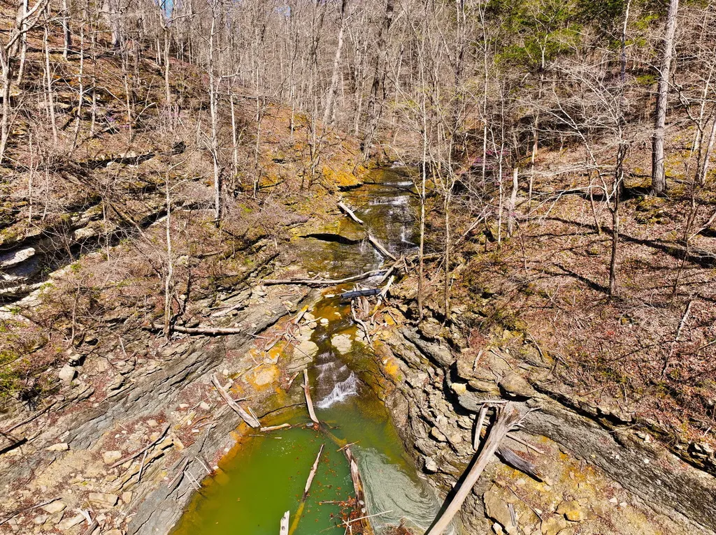 8 Beechwood Drive Nancy KY 42544