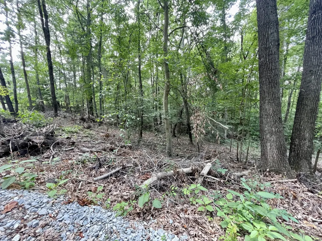 8 Beechwood Drive Nancy KY 42544