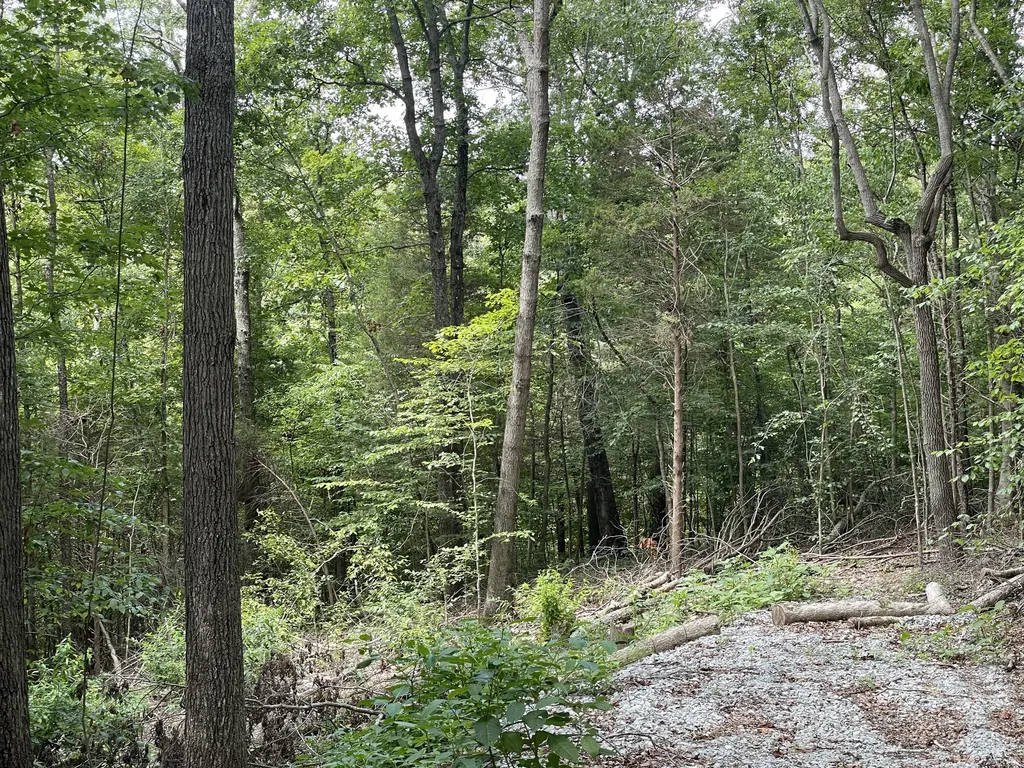 8 Beechwood Drive Nancy KY 42544