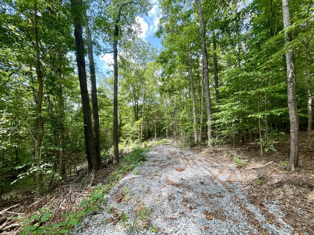 8 Beechwood Drive Nancy KY 42544