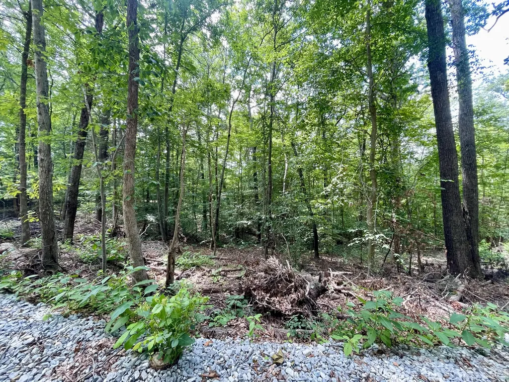 8 Beechwood Drive Nancy KY 42544