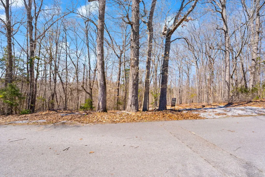 8 Beechwood Drive Nancy KY 42544