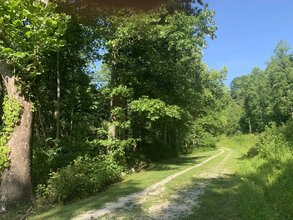 21818 State Route 3 Rush KY 41168