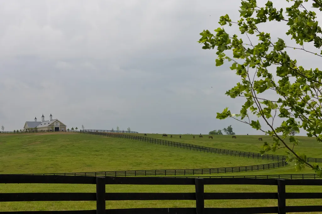 629 Cane Ridge Road Paris KY 40361