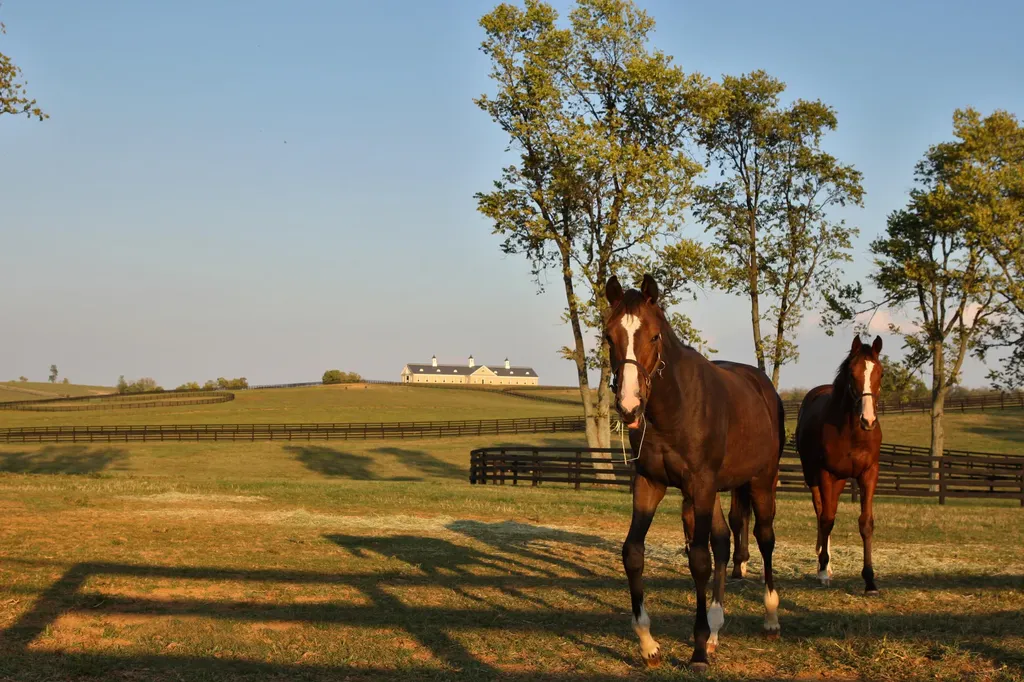 629 Cane Ridge Road Paris KY 40361