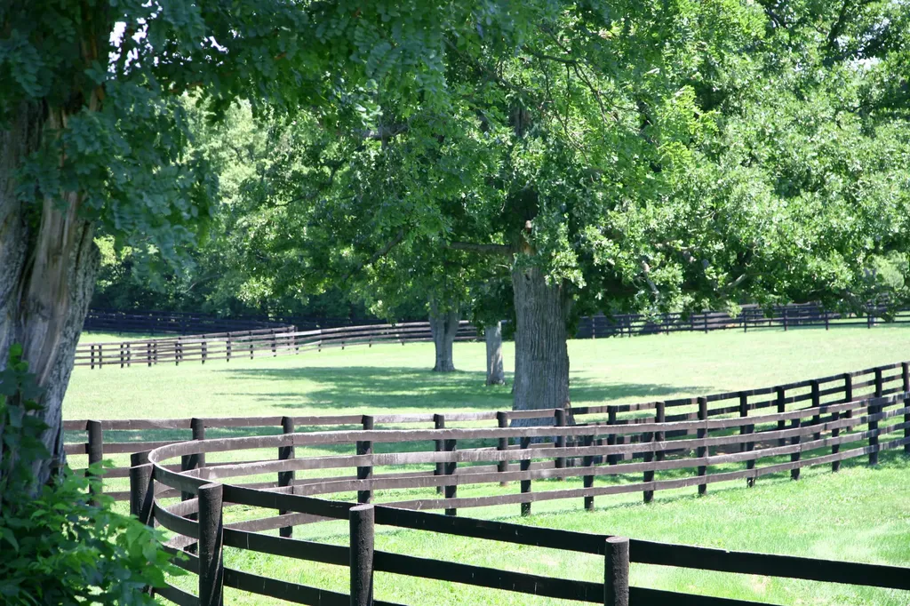 629 Cane Ridge Road Paris KY 40361