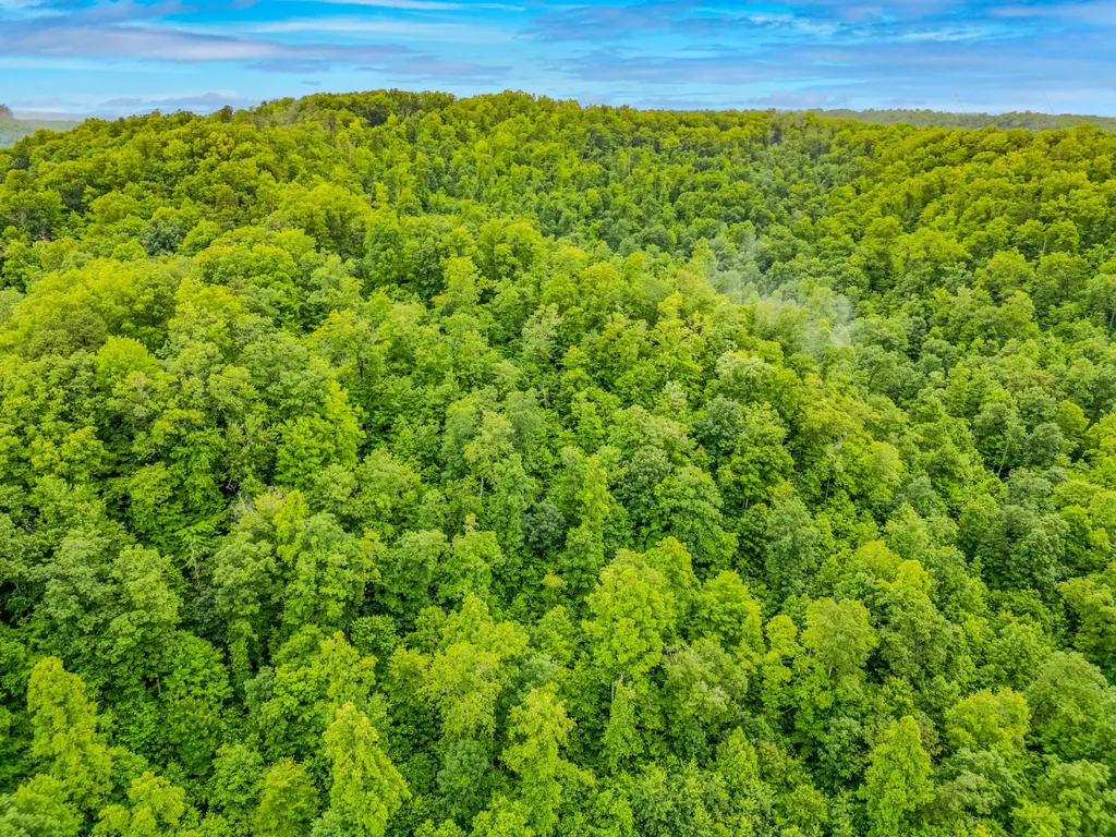 604 Highway 421 N Mckee KY 40447